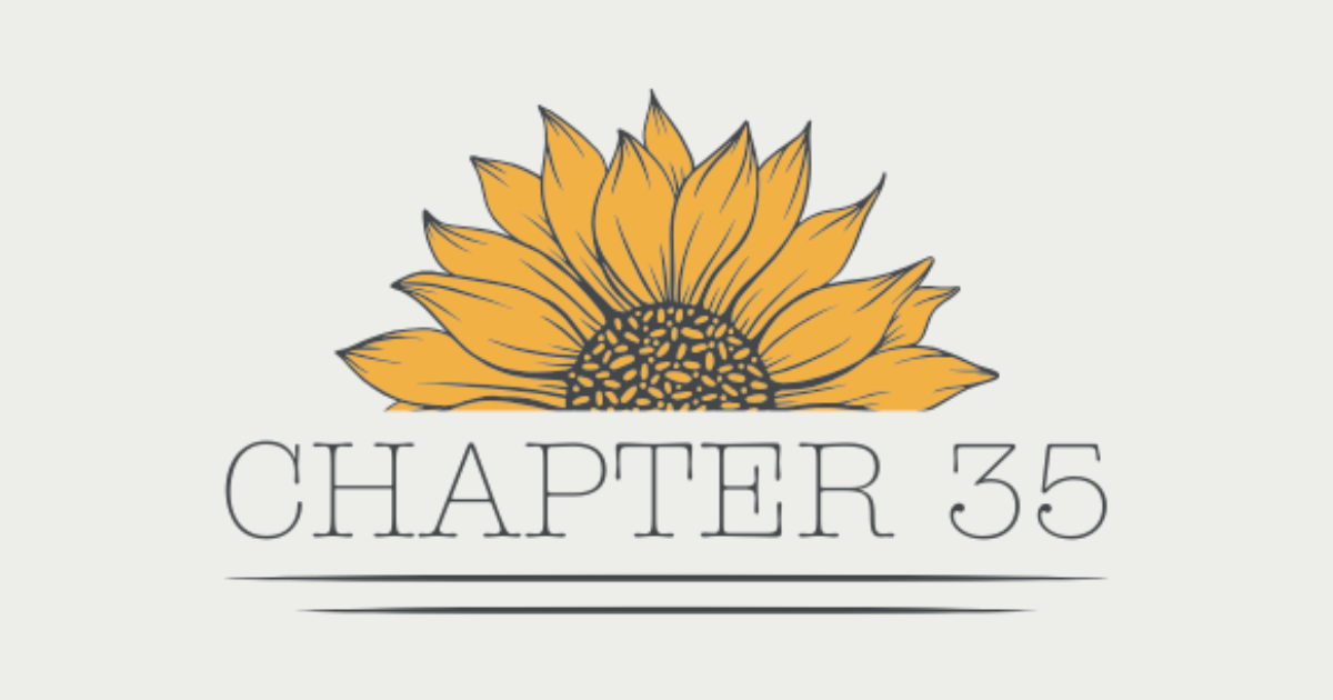 What Is Chapter 35? Your On Demand Marketing Partner